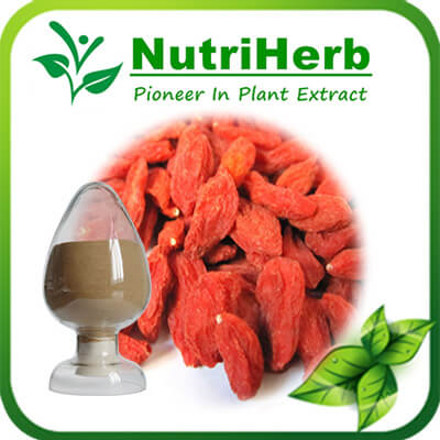 Goji Berry Extract