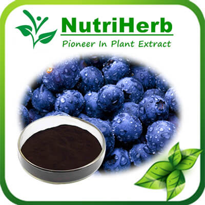 Blueberry Extract-NutriHerb