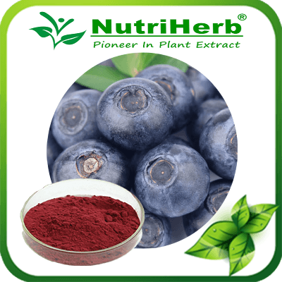 Blueberry pigment-NutriHerb Blueberry pigment-NutriHerb