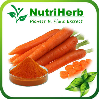 Carrot Powder-NutriHerb Carrot Powder-NutriHerb