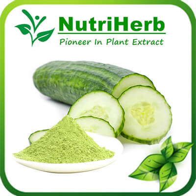 Cucumber powder-NutriHerb Cucumber powder-NutriHerb