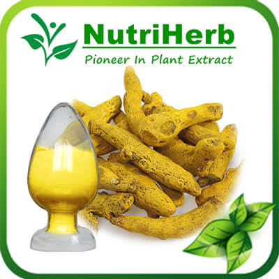 Curcumin-NutriHerb Curcumin-NutriHerb