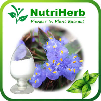 Ecdysone-NutriHerb