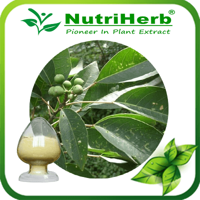 Fisetin-NutriHerb