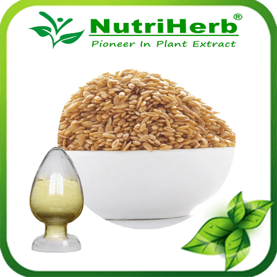 Flax lignans-NutriHerb Flax lignans-NutriHerb