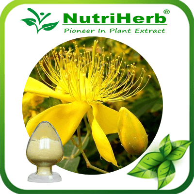 Hyperoside-NutriHerb