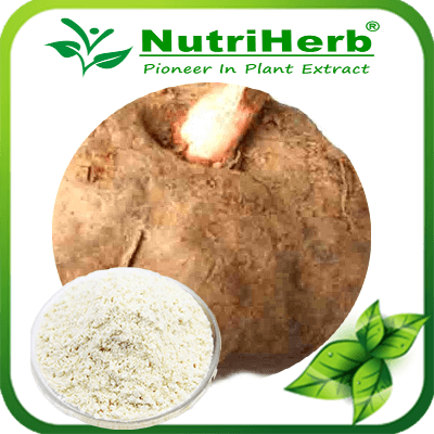Konjaku Powder-NutriHerb Konjaku Powder-NutriHerb