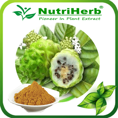Noni Powder-NutriHerb Noni Powder-NutriHerb