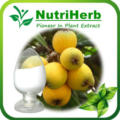 Ursolic acid-NutriHerb