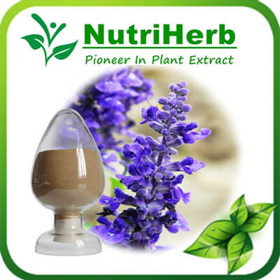 carnosic acid-nutriherb