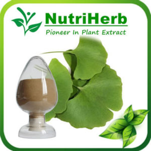 ginkgo biloba extract-nutriherb