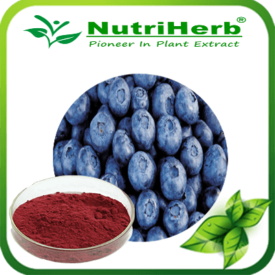 Acai Berry Extract-NutriHerb