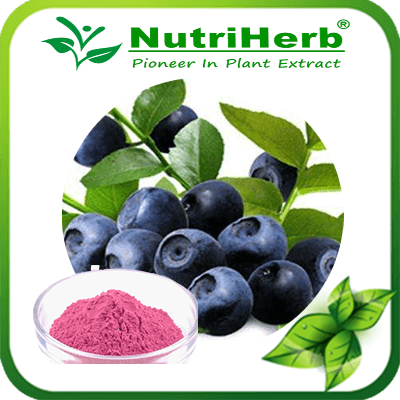 Acai Berry Powder-NutriHerb