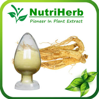 American Ginseng Extract-NutriHerb