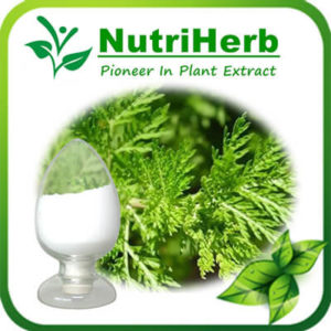 Artemisinin-NutriHerb