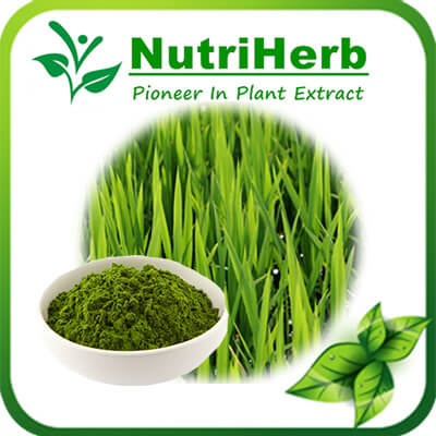 Barley Grass Powder-NutriHerb