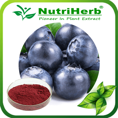 Bilberry Extract-NutriHerb