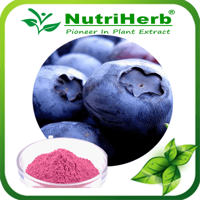 Bilberry Powder-NutriHerb