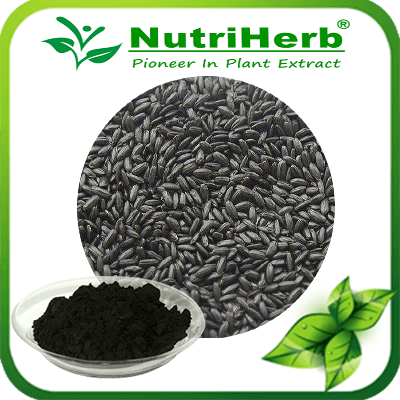 Black rice extract-NutriHerb