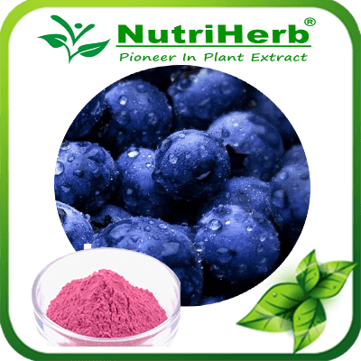 Blueberry Powder-NutriHerb