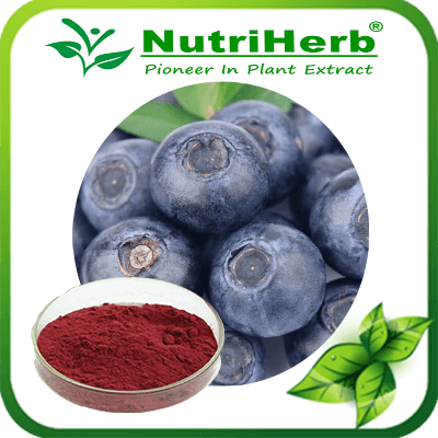 Blueberry pigment-NutriHerb