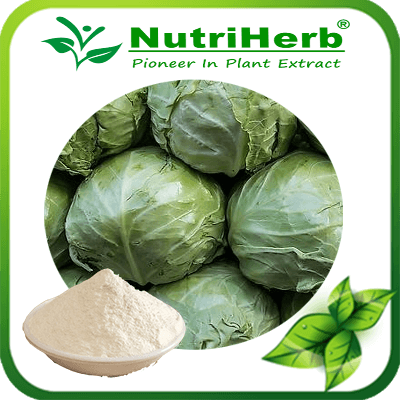 Cabbage Powder-NutriHerb
