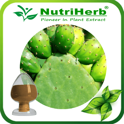 Cactus Extract-NutriHerb