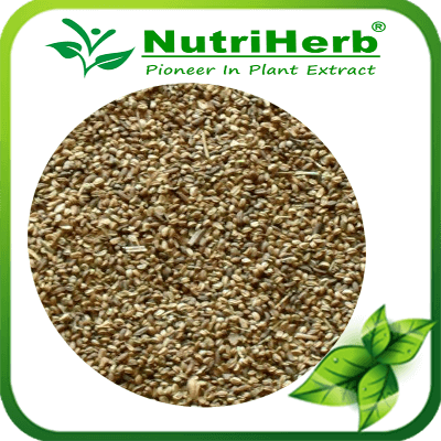 Celery Seed-NutriHerb