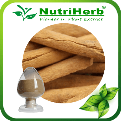 Cinnamon Bark Extract-NutriHerb