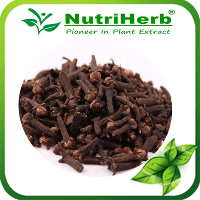 Clove-NutriHerb