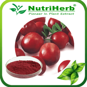 Cranberry Extract-NutriHerb
