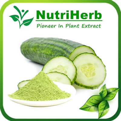 Cucumber powder-NutriHerb