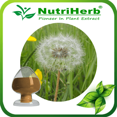 Dandelion Extract-NutriHerb