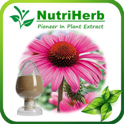 Echinacea purpurea extract-NutriHerb