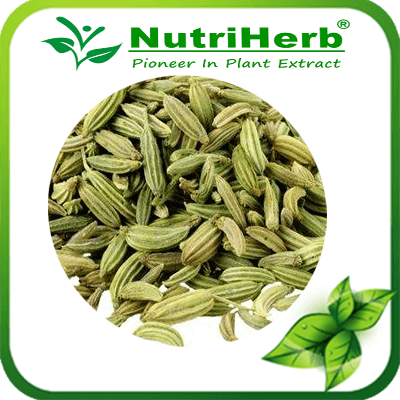 Fennel Seed-NutriHerb