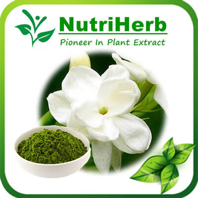 Gardenia green-NutriHerb