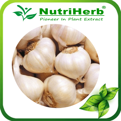 Garlic-NutriHerb
