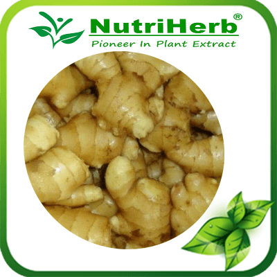 Ginger-NutriHerb