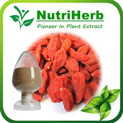 Wolfberry extract-NutriHerb
