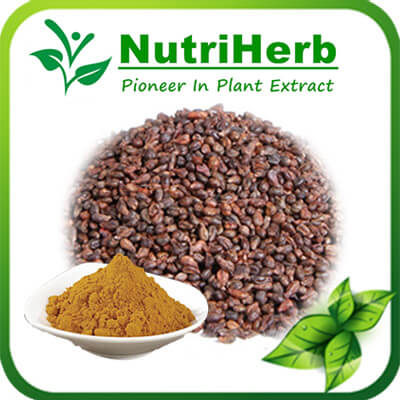 Grape Seed Extract-NutriHerb