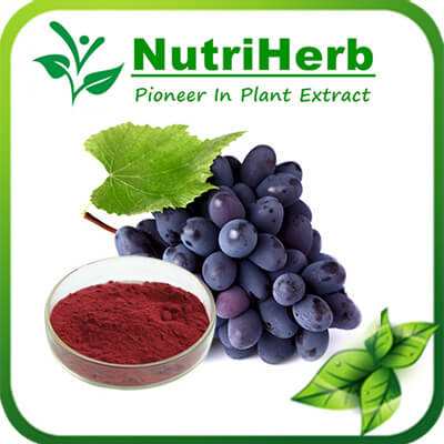 Grape Skin Pigment-NutriHerb