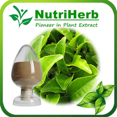 Green Tea Extract-NutriHerb