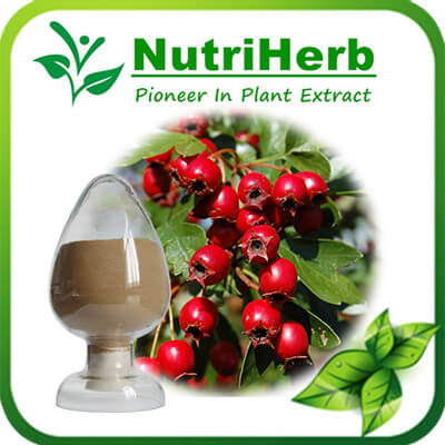 Hawthorn Leaf Extract-NutriHerb