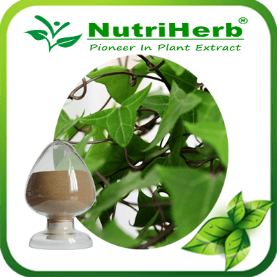 Ivy leaf extract-NutriHerb