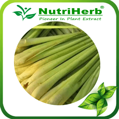 Lemon Grass-NutriHerb