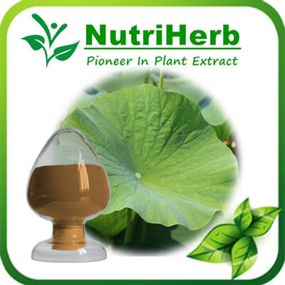 Lotus Leaf extract-NutriHerb