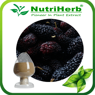 Mulberry Fruit Extract-NutriHerb
