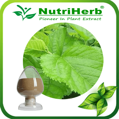 Mulberry Leaf Extract-NutriHerb