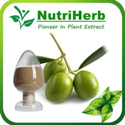 Olive Leaf Extract-NutriHerb