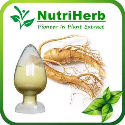Panax Ginseng Extract-NutriHerb